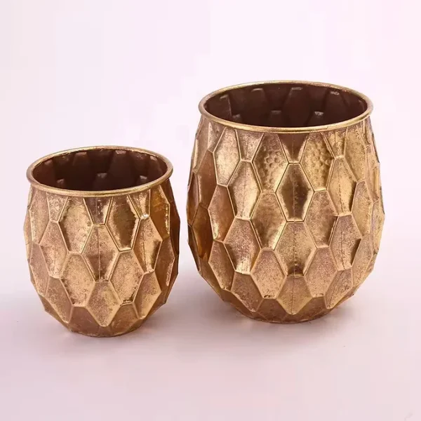 Demi L,M Kurka